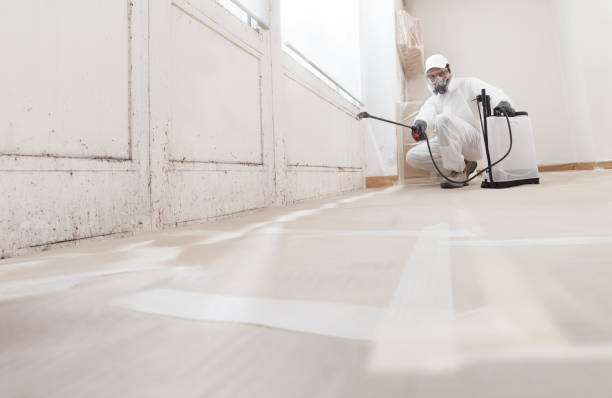 24/7 Emergency Mold Testing experts in Fredericksburg, PA
