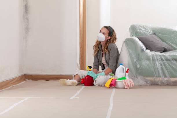 Reliable Mold Remediation contractor in Fredericksburg, PA by Cheap Mold Removal