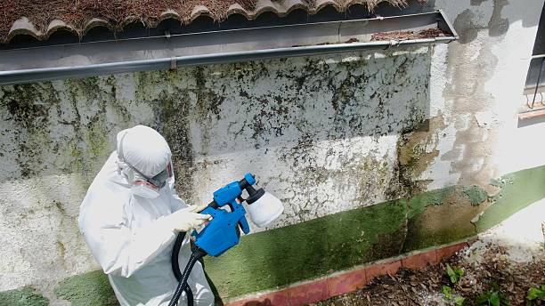 Top rated local Mold Remediation specialists in Fredericksburg, PA